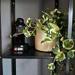 Little In Apartment *
