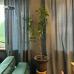 Little In Apartment *