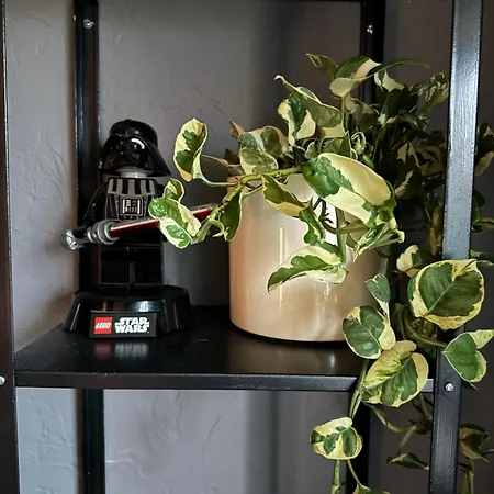 Little In Apartamento *