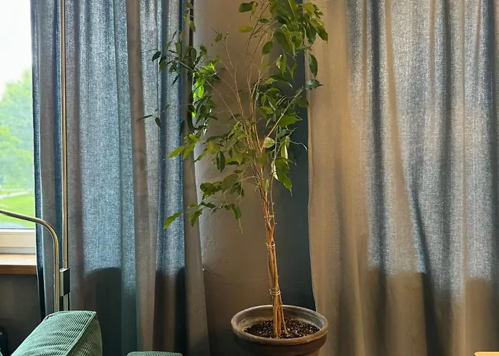 Little In Apartament *